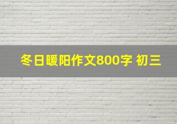 冬日暖阳作文800字 初三